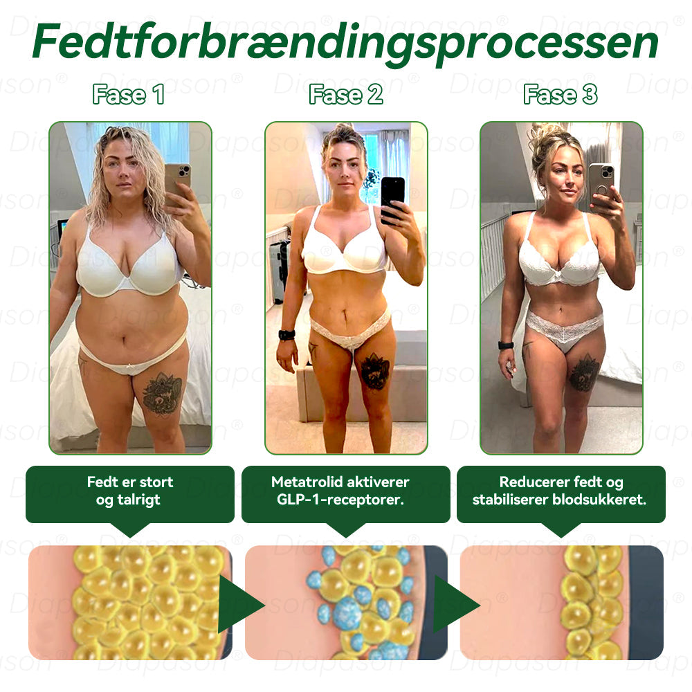 Officiel Butik | Diapason® GLP-1 9-i-1 oral sundhedsvæske 🌿 Formel til beskyttelse mod kronisk sygdom 🏆