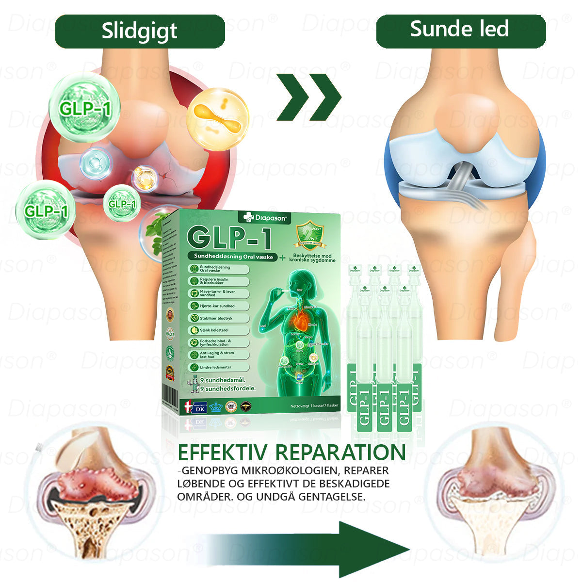 Officiel Butik | Diapason® GLP-1 9 I 1 Sundhedsløsning Oral Væske 🌿 Formel til beskyttelse mod kronisk sygdom ☀️